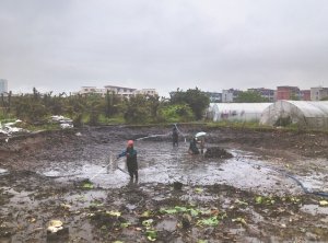 二道江河道鱼塘清淤